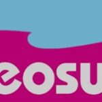 neosurf e1780211305352